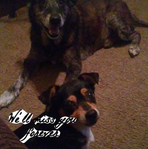 Meet your Posher, Seresa